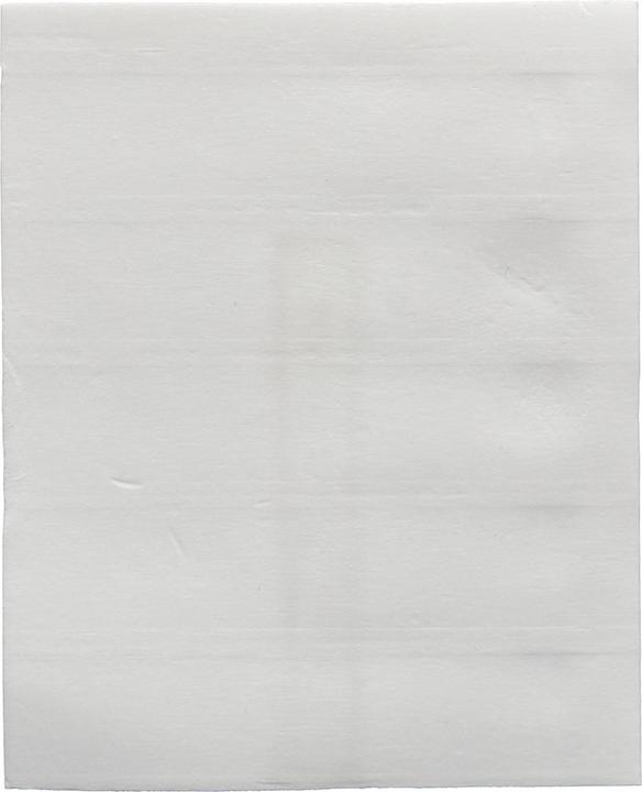 Immagine prodotto bluu Salviette Eco universali Alpenfrische (60 Cicli di lavaggio, Salviette)