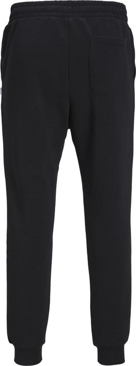Actual product image Jack & Jones Gordon Bradley Sweatpants (XXL)