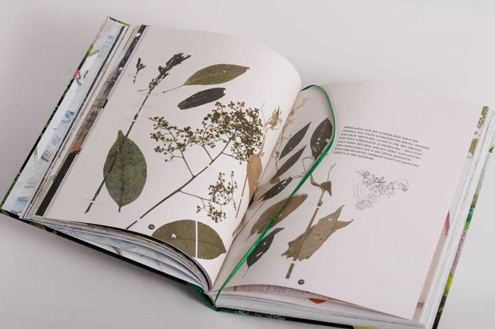 Immagine prodotto Die Abenteuer des Alexander von Humboldt (Tedesco, Andrea Wulf, 2019)