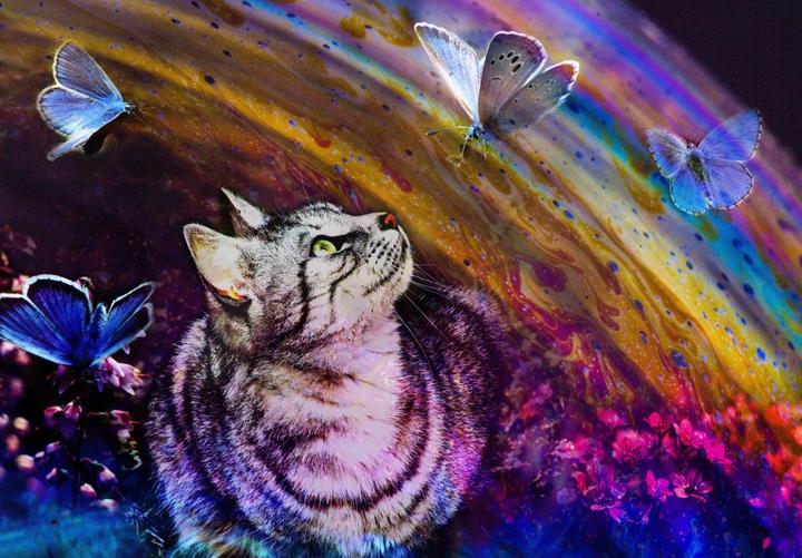 Image du produit Grafika Kids Cat and Butterflies (chat et papillons) (12 pièces)