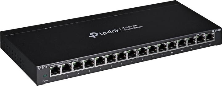 Actual product image TP-Link TL-SG116E (16 Ports)