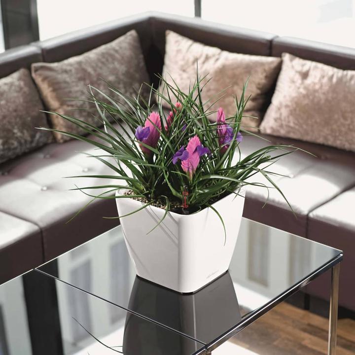 Produktbild Lechuza Quadro LS (28 cm)