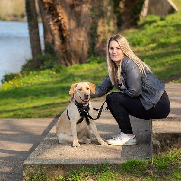 Actual product image Halti No Pull Geschirr (XS, Dog, Dog sport)