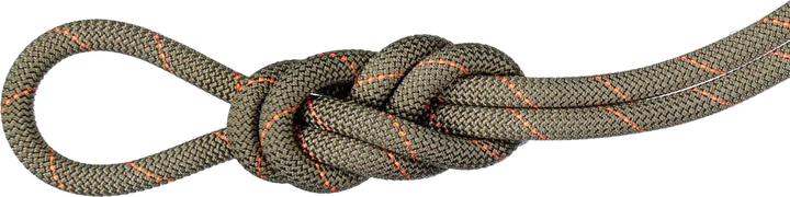 Immagine prodotto Mammut 9.9 Corda da palestra Workhorse Dry Rope (40 m)