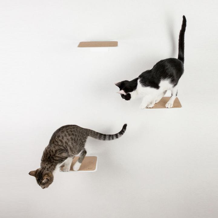 Immagine prodotto LucyBalu STEPS Katzentreppe (5 cm, Bianco, Sughero)