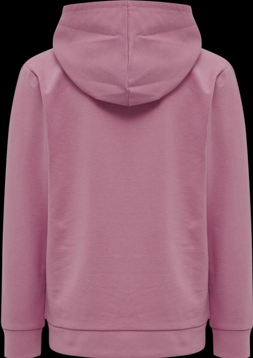 Image du produit hummel Cuatro Hoodie (134)