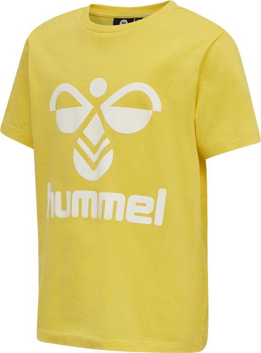 Maize