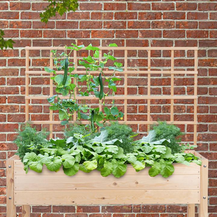 Produktbild Esschert Design Hochbeet Rankgitter hell