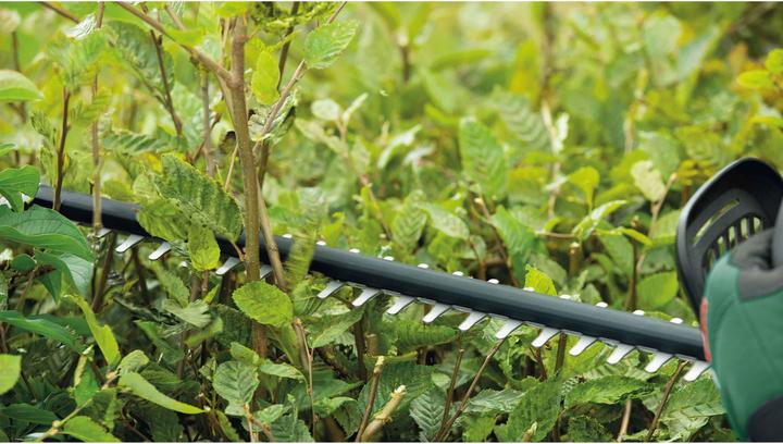 Image du produit Bosch Home & Garden Taille-haies électrique UniversalHedgeCut 50 (Taille-haie électrique)