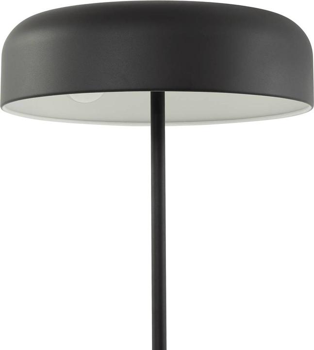 Actual product image Lindby Edion (E27)
