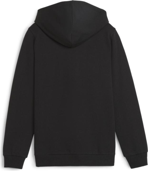 Image du produit Puma teamGOAL Casuals Veste à capuche Jr (152)