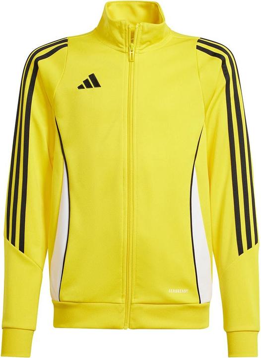 adidas TIRO24 TRJKT Y