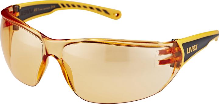 Image du produit Uvex Sports Sportstyle 204 (Orange, Orange)