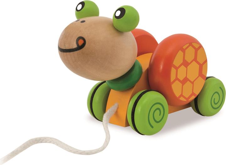 Actual product image Eichhorn Turtle