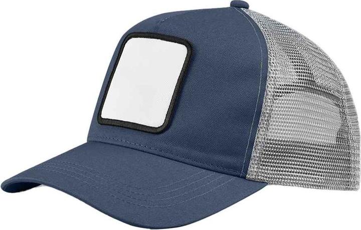 Gris-bleu, Gris clair