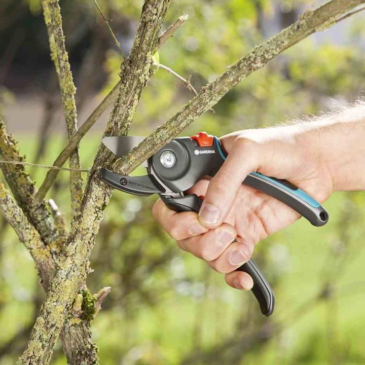 Immagine prodotto Gardena Cesoie da giardino A/M
