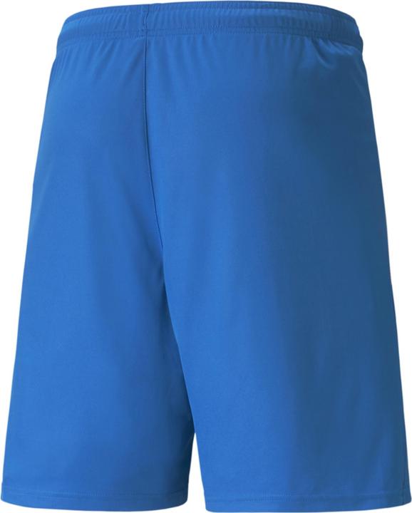 Actual product image Puma teamLIGA Shorts-704924 (48 E)