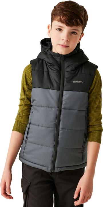Image du produit Regatta - Veste sans manches LOFTHOUSE - Enfant (170, 176)