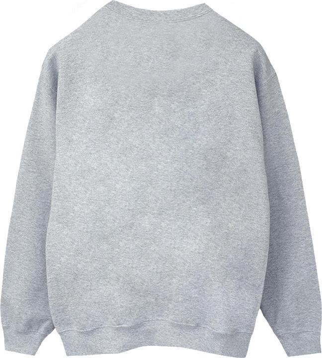 Produktbild Spidey And His Amazing Friends Flying Sweatshirt (4XL)