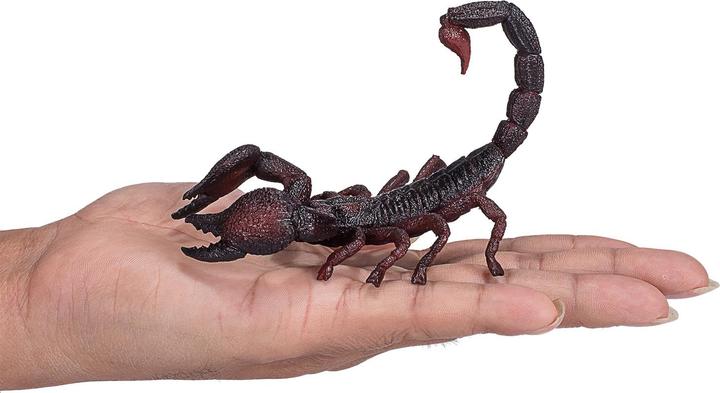 Image du produit small foot Scorpion impérial