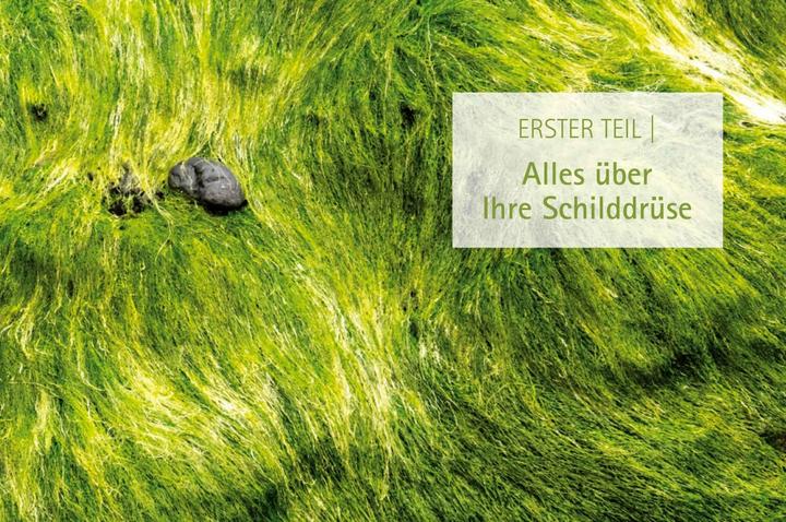 Actual product image Heile deine Schilddrüse (German, Anthony William, 2018)