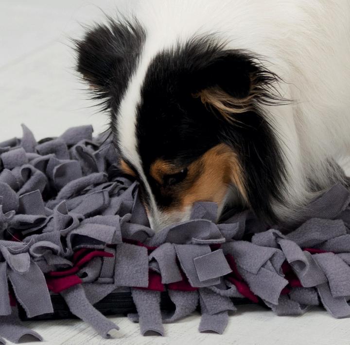 Actual product image Trixie Activity sniffing carpet (Dog activity toy)