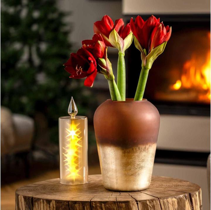 Produktbild Leonardo Dekolicht Capanna Magico 9 cm x 30 cm, Gold (1 x)