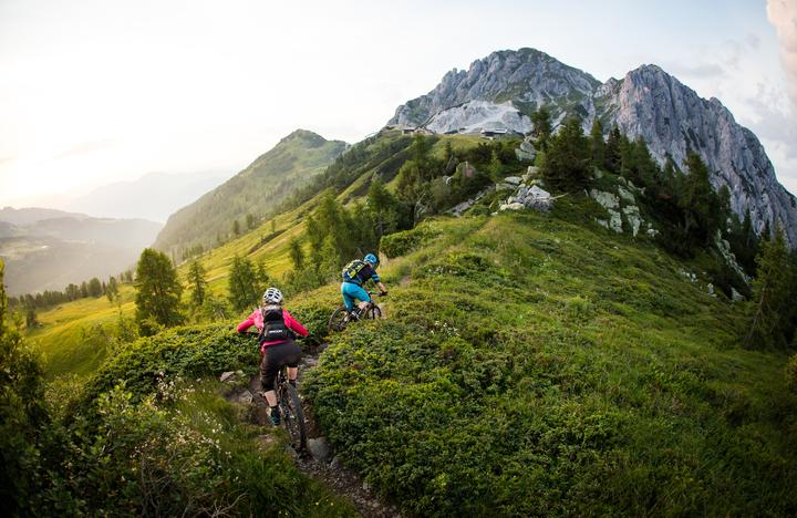 Produktbild Votec VM Comp - All Mountain Fully 2x10 27,5" - (41.50 cm)