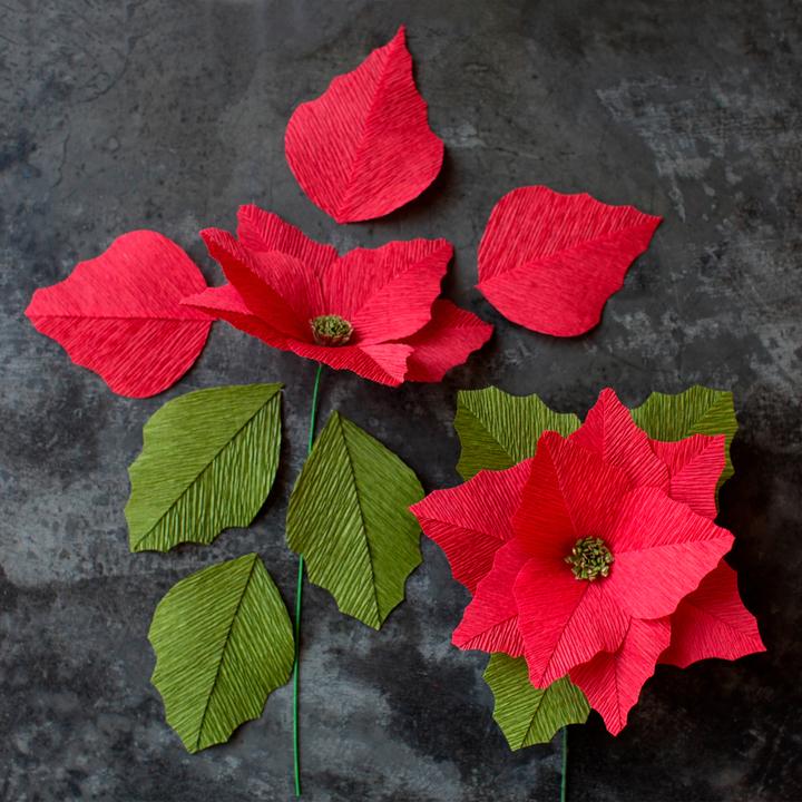 Image du produit Werola Lia Griffith, crêpe fleuriste "Winter Garden", 10 rouleaux (10 x)