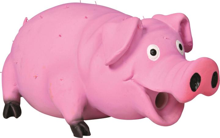 Trixie Bristle Pig (Litter toy dog, Dog chew toy)