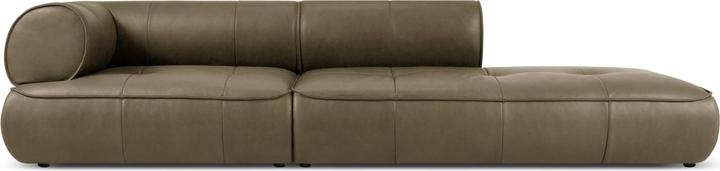 Dark olive green
