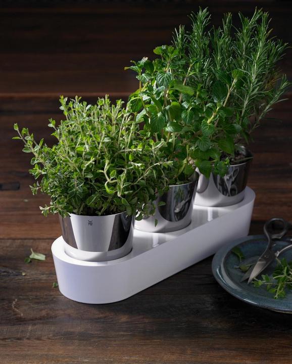 Immagine prodotto WMF Giardinetto di erbe aromatiche (14 cm)