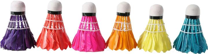 Actual product image 6 feather shuttles in sleeve color