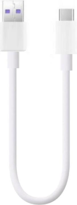 PowerGuard USB C — USB A (0.20 m, USB 3.1)