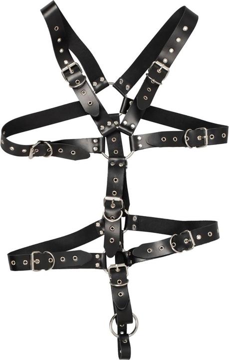 Actual product image Zado harness (S, M, L)