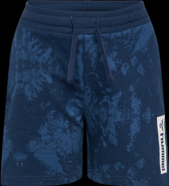 Actual product image hummel Hmljump Aop Shorts (146)