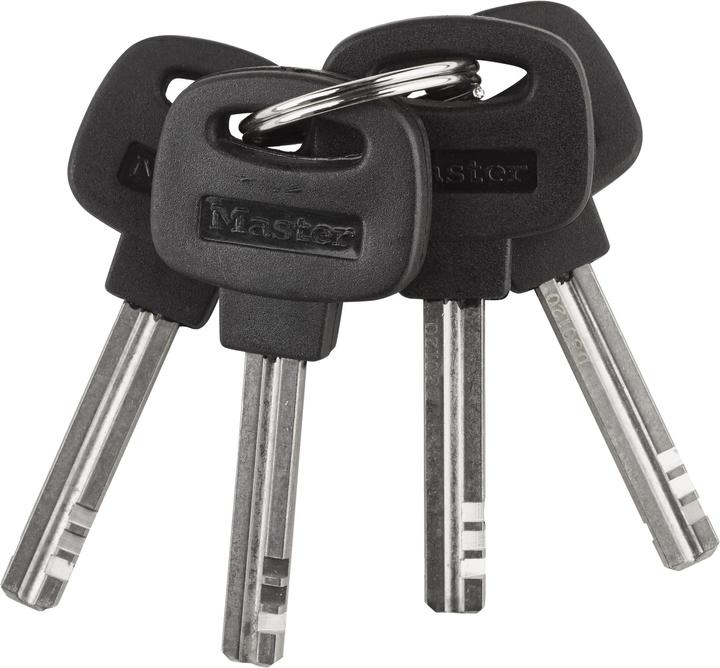 Actual product image Master Lock 8234 Eurdpro (90 cm)