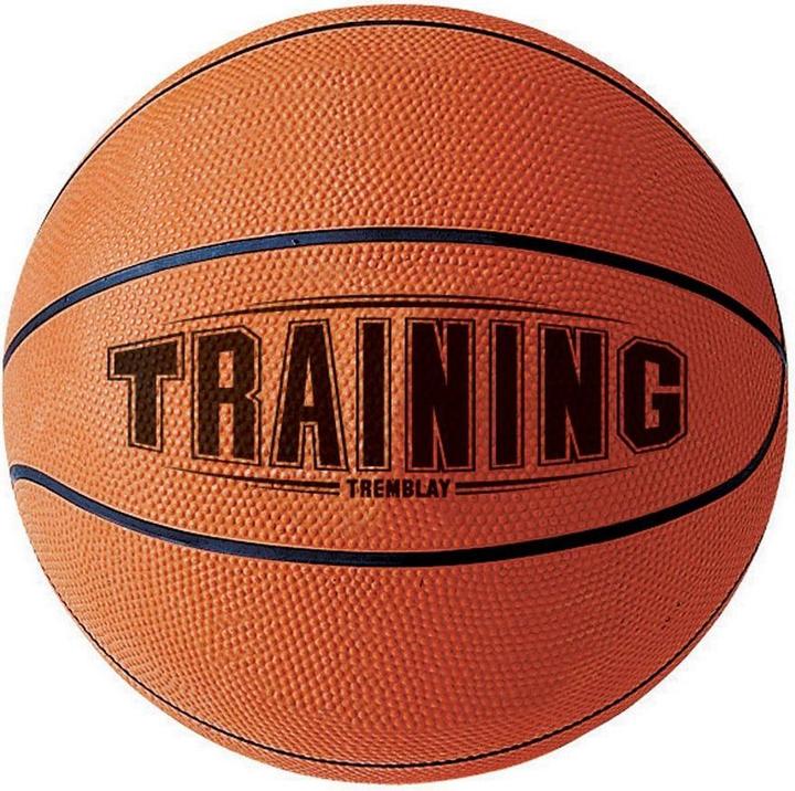 Hasbro tremblay training basketball