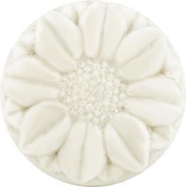 Actual product image Rosenrot ConditionerBit sensitive