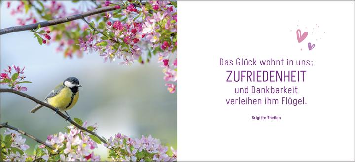 Immagine prodotto Ein kleines Dankeschön (Tedesco, Grezzo, 2024)