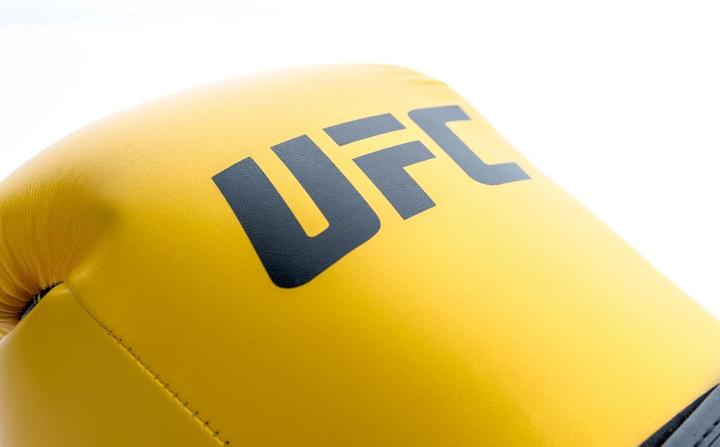 Immagine prodotto UFC Guanto da allenamento PRO Fitness (12 OZ)