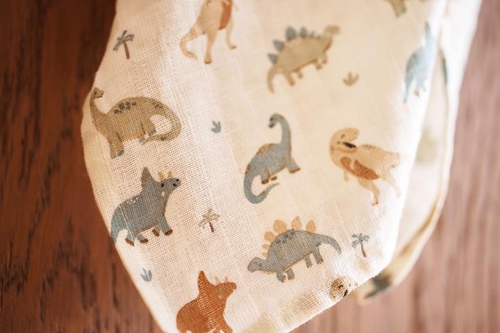 Immagine prodotto Jollein Pannolini per ruttini Dino set di 3 piccoli (31 cm, 31 cm)