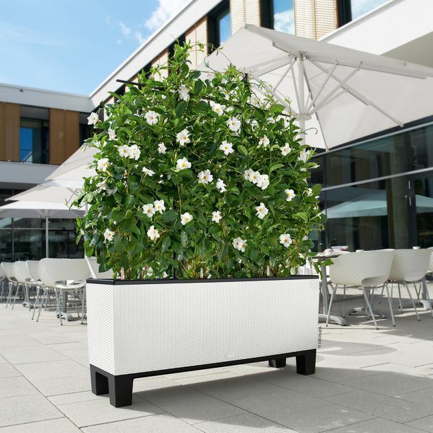 Produktbild Lechuza Trio Cottage (42 cm)