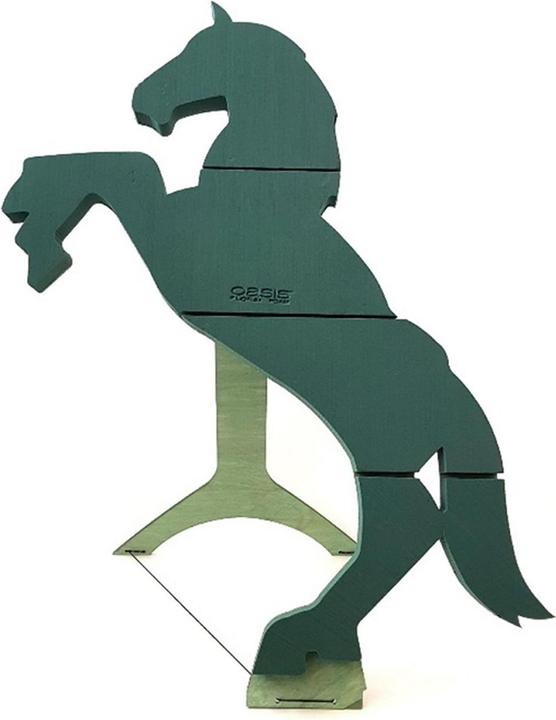 Immagine prodotto Oasis Cavallo BIOLINE®