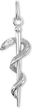 Produktbild Brilio Silver - Silver pendant Aeskulapova stick 441 001 01645 04