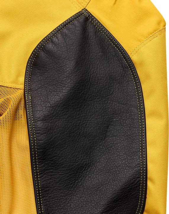 Produktbild Troy Lee Designs GP Pro Pant, Mono, gold, 34 (34)