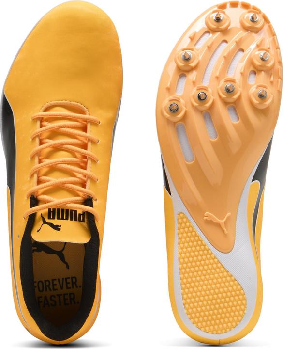 Produktbild Puma evoSPEED Sprint 14.5 (40.5)