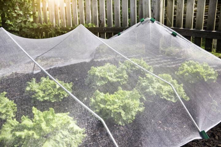 Immagine prodotto Windhager Rete di protezione dagli insetti