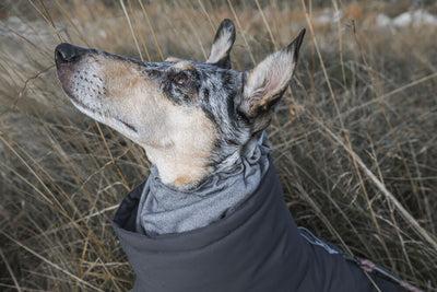 Actual product image Hurtta Extreme (50, Dog coat)