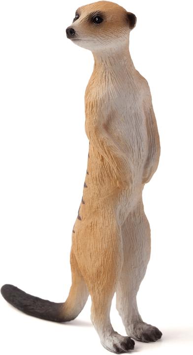 Animal Planet Suricate